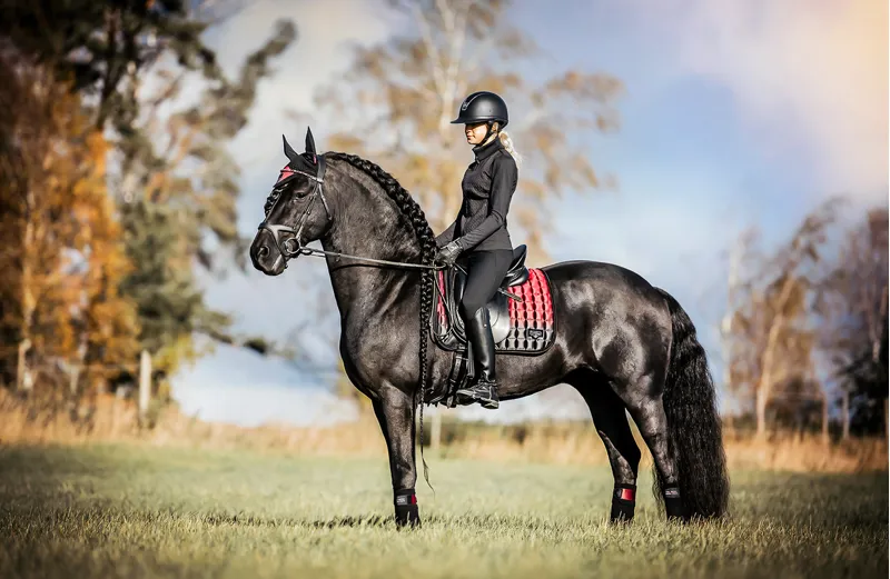 LeMieux Spectrum Saddlepad in Close Contact Mulberry-1